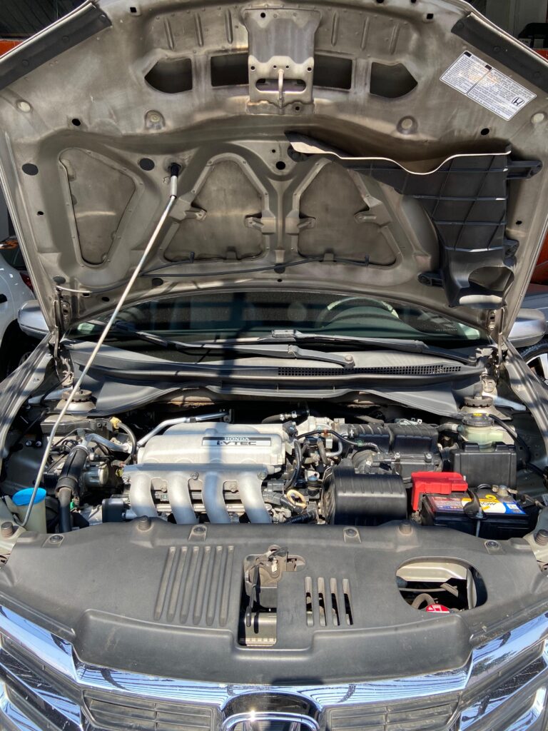 imgi_2_91f0aa24-64e8-b05c-462b-3a1ad4bc0c0f